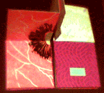 Partly folded out, showing poppy